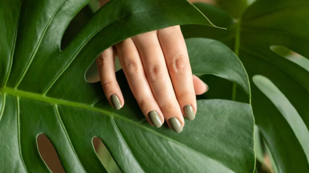Nailbox sinh học